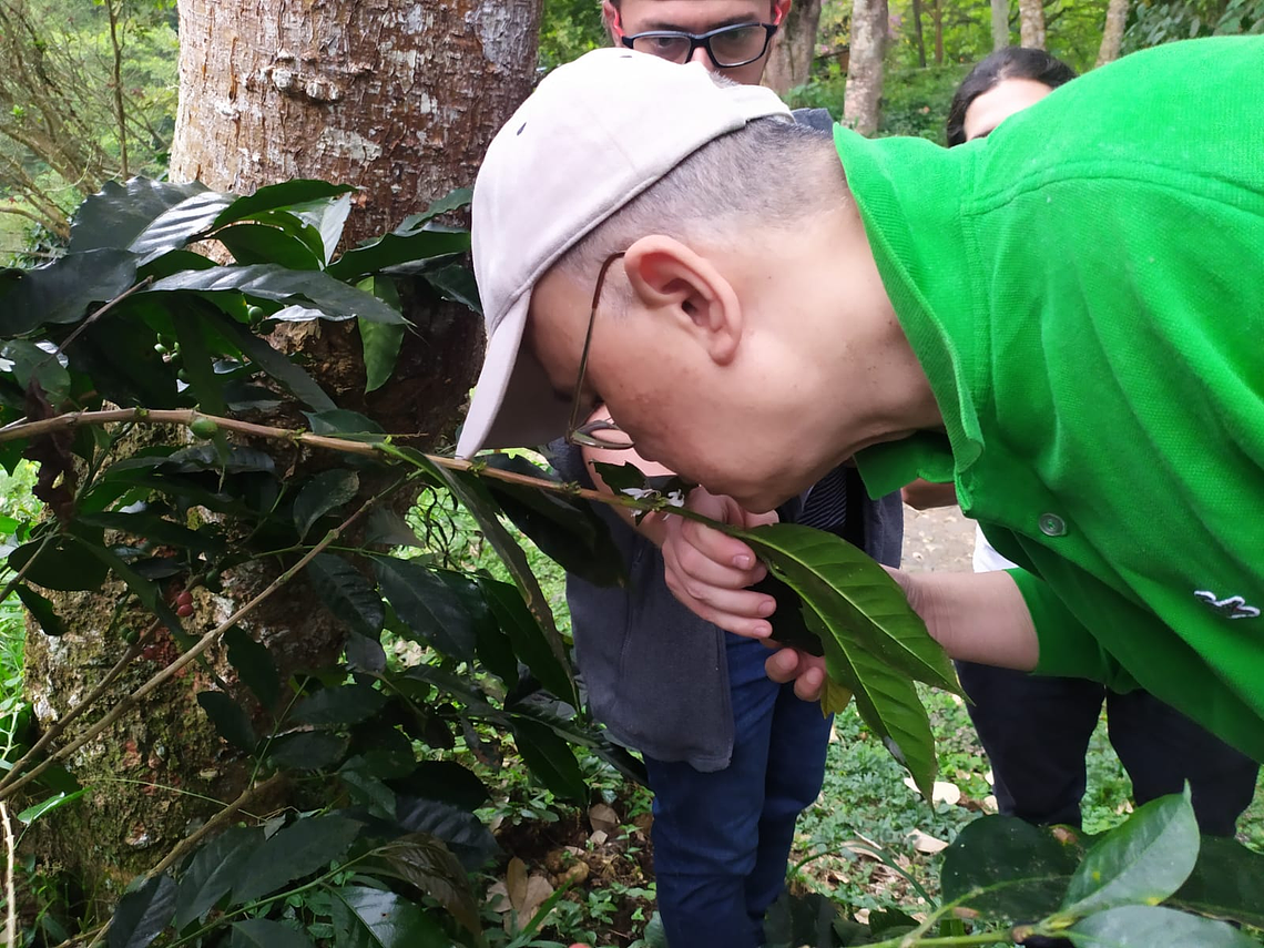 Coffee Tour in Córdoba 