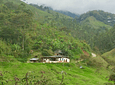 Café Biodinámico y Permacultural (Coffee Tour)