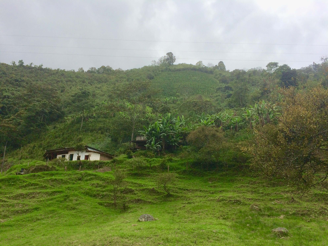 Café Biodinámico y Permacultural (Coffee Tour)