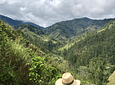 Café Biodinámico y Permacultural (Coffee Tour)