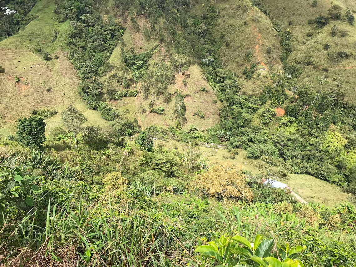 Café Biodinámico y Permacultural (Coffee Tour)