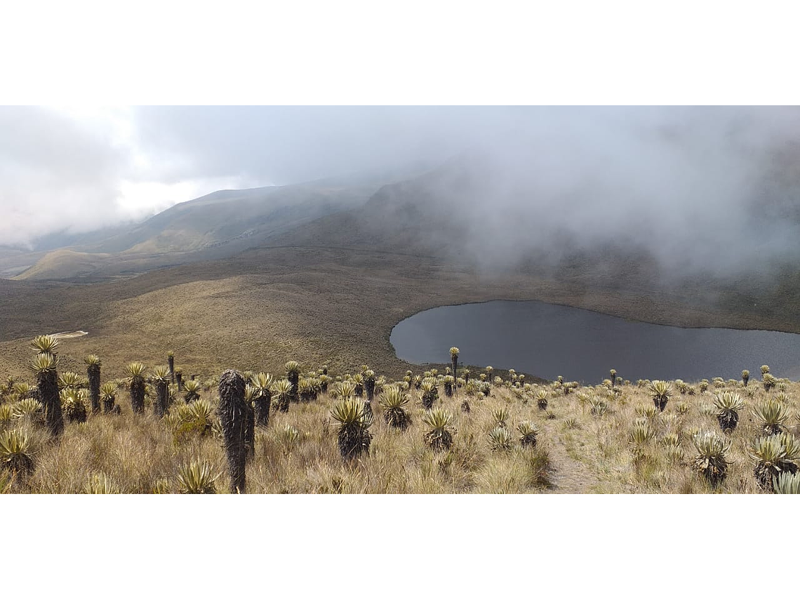 Expedición al Nevado del Tolima 4 días, 3 noches (Intento de Cima)