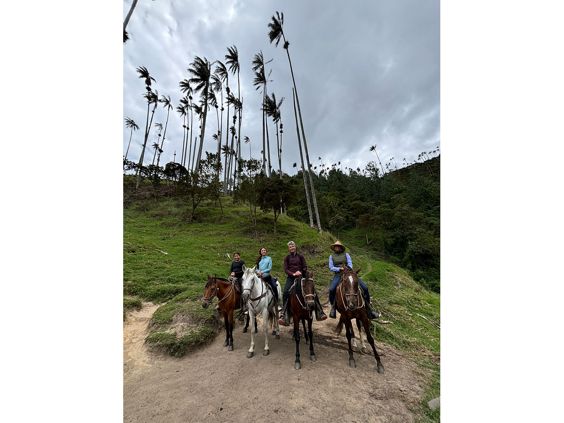 Cabalgata Ecológica en el Valle de Cocora