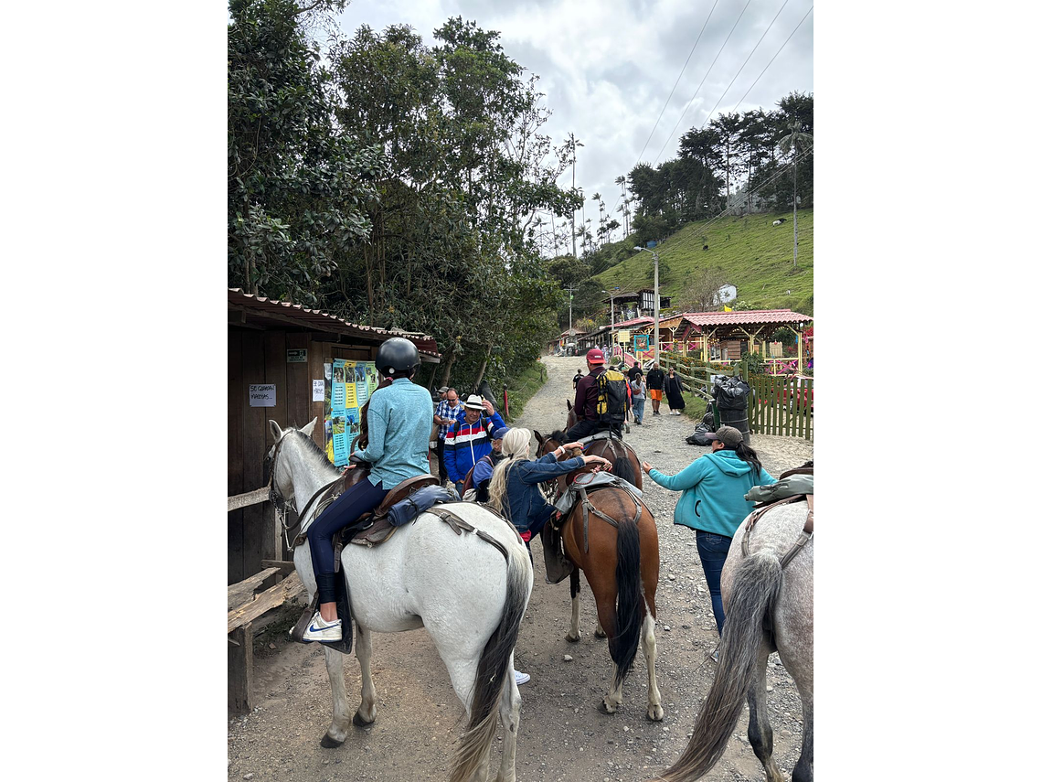 Ecological Horseback Riding in the Cocora Valley