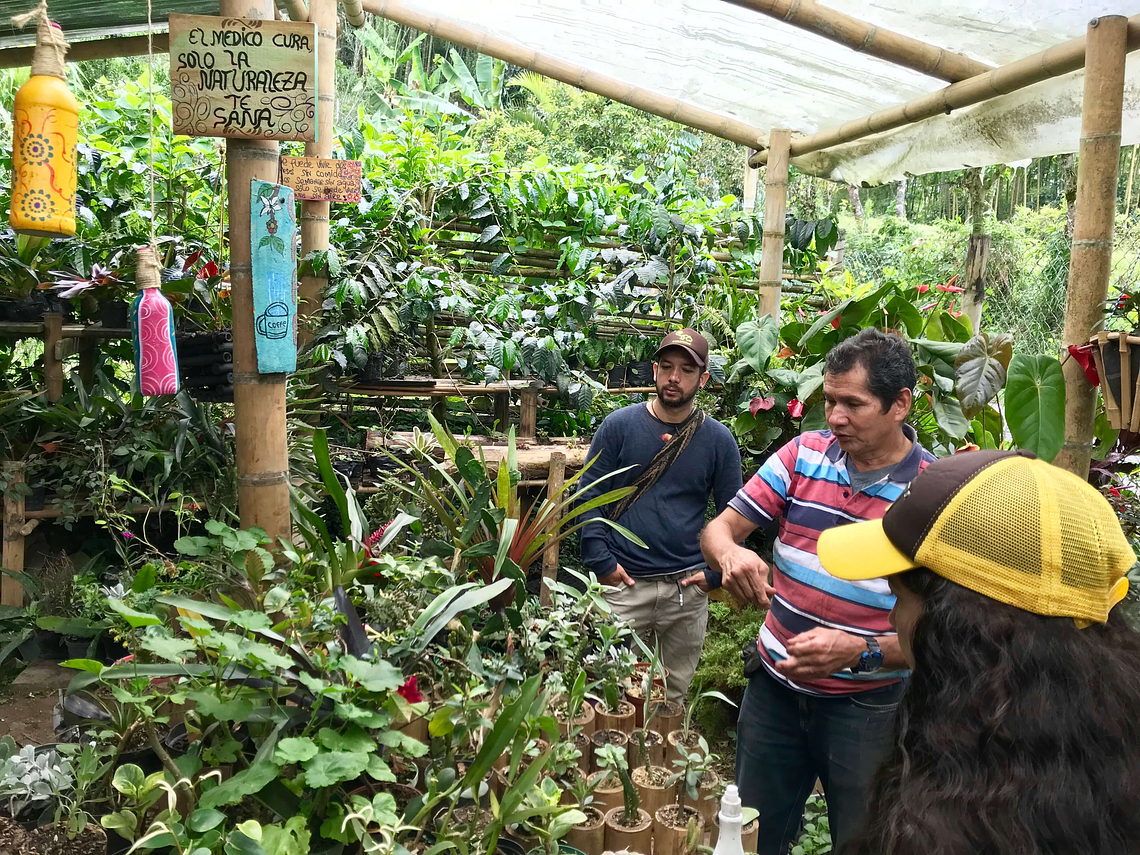 Agroecological and Permacultural Tour in the Ecogranja Versailles