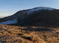 Tour De Un Día Sendero Cambio Climático Nevado Santa Isabel (Antes Borde de Nieve)