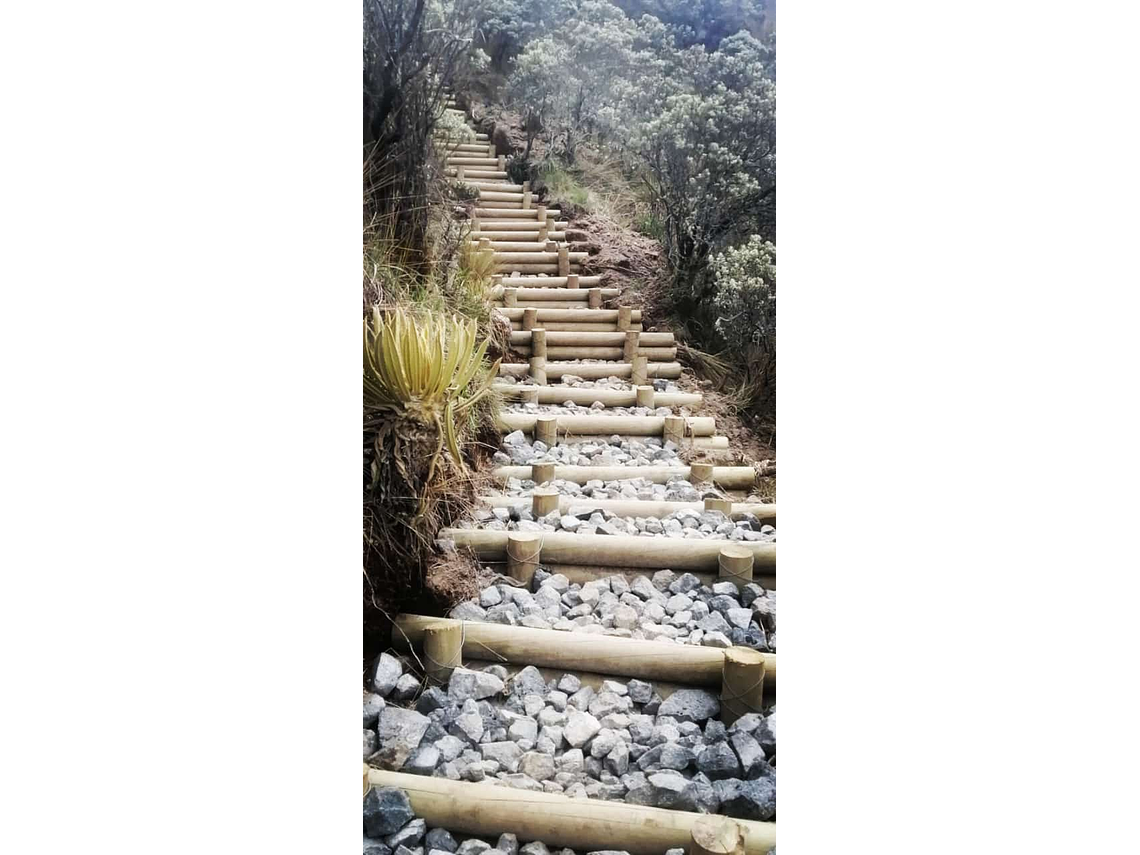 Tour De Un Día Sendero Cambio Climático Nevado Santa Isabel (Antes Borde de Nieve)