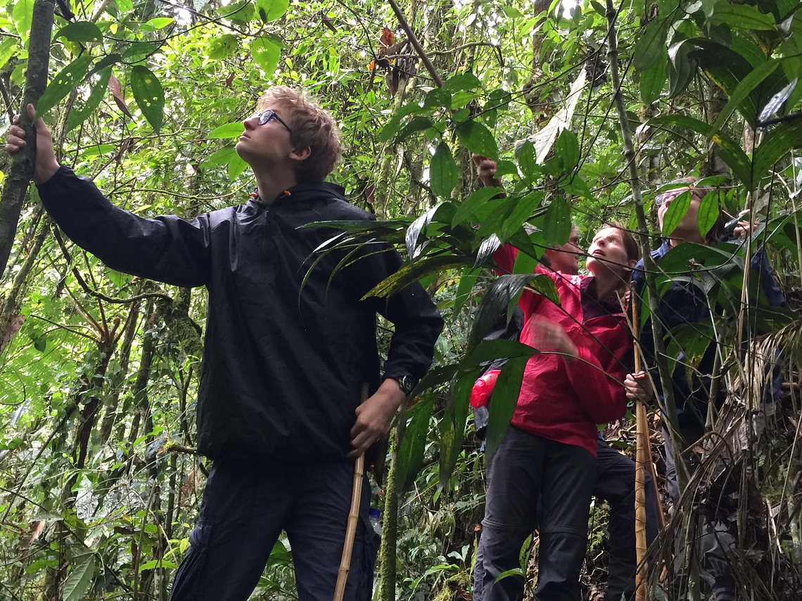 Looking For The Howler Monkey In The Barbas Nature Reserve - Bremen