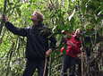 Searching for the Howler Monkey in the Barbas Palace