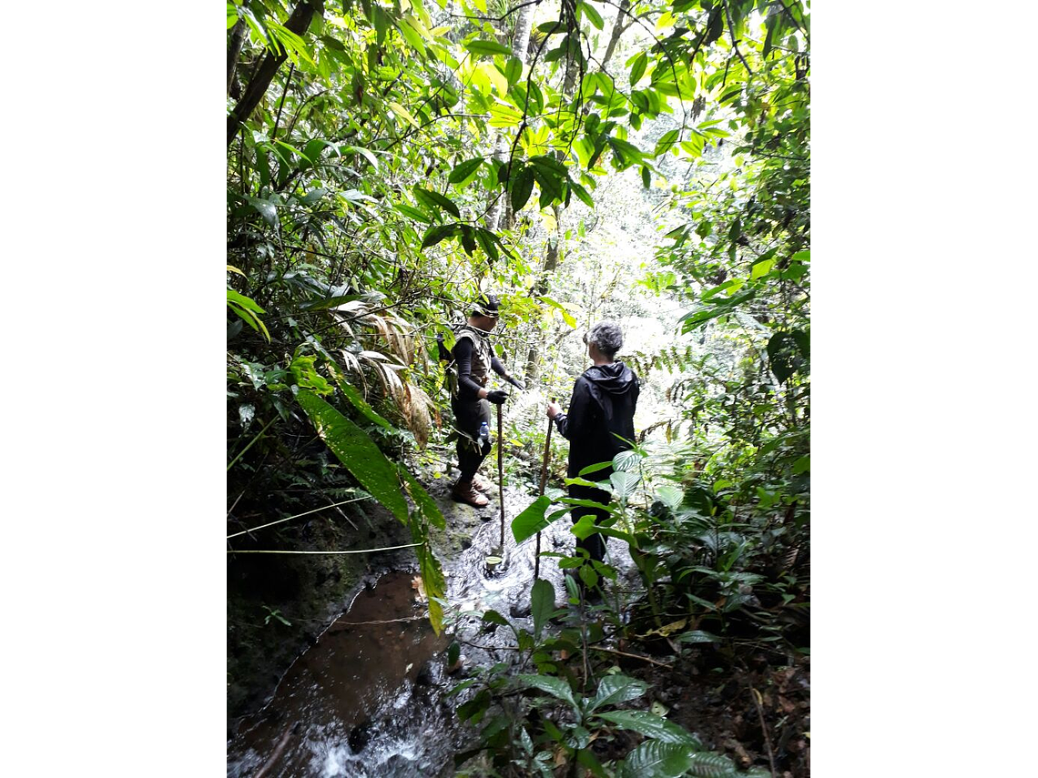 Searching for the Howler Monkey in the Barbas Palace