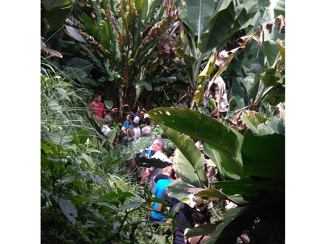 Agrarökologische und permakulturelle Tour auf dem Bauernhof von Mamá Lulú