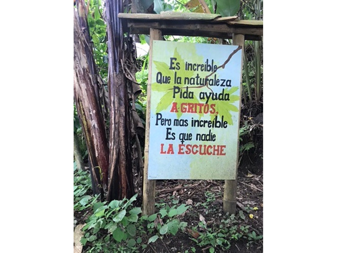 Agroecological and Permacultural Tour at Mama Lulú's Farm