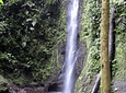 Searching for the Howler Monkey in the Barbas Palace