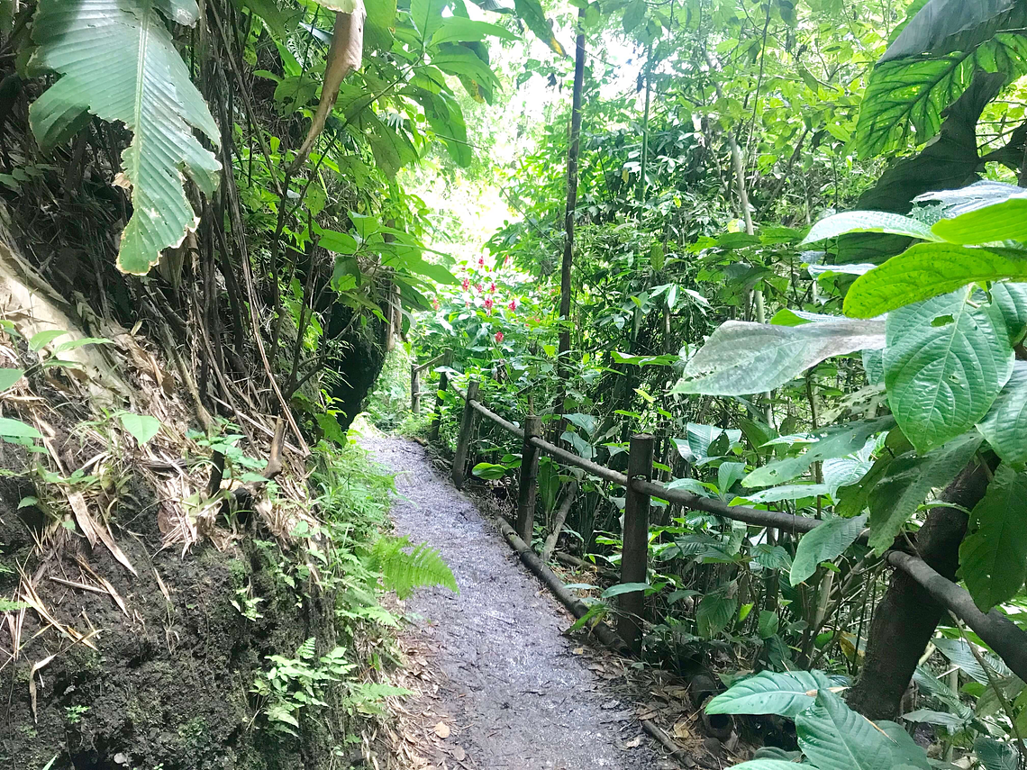 Balsaje on the La Vieja River