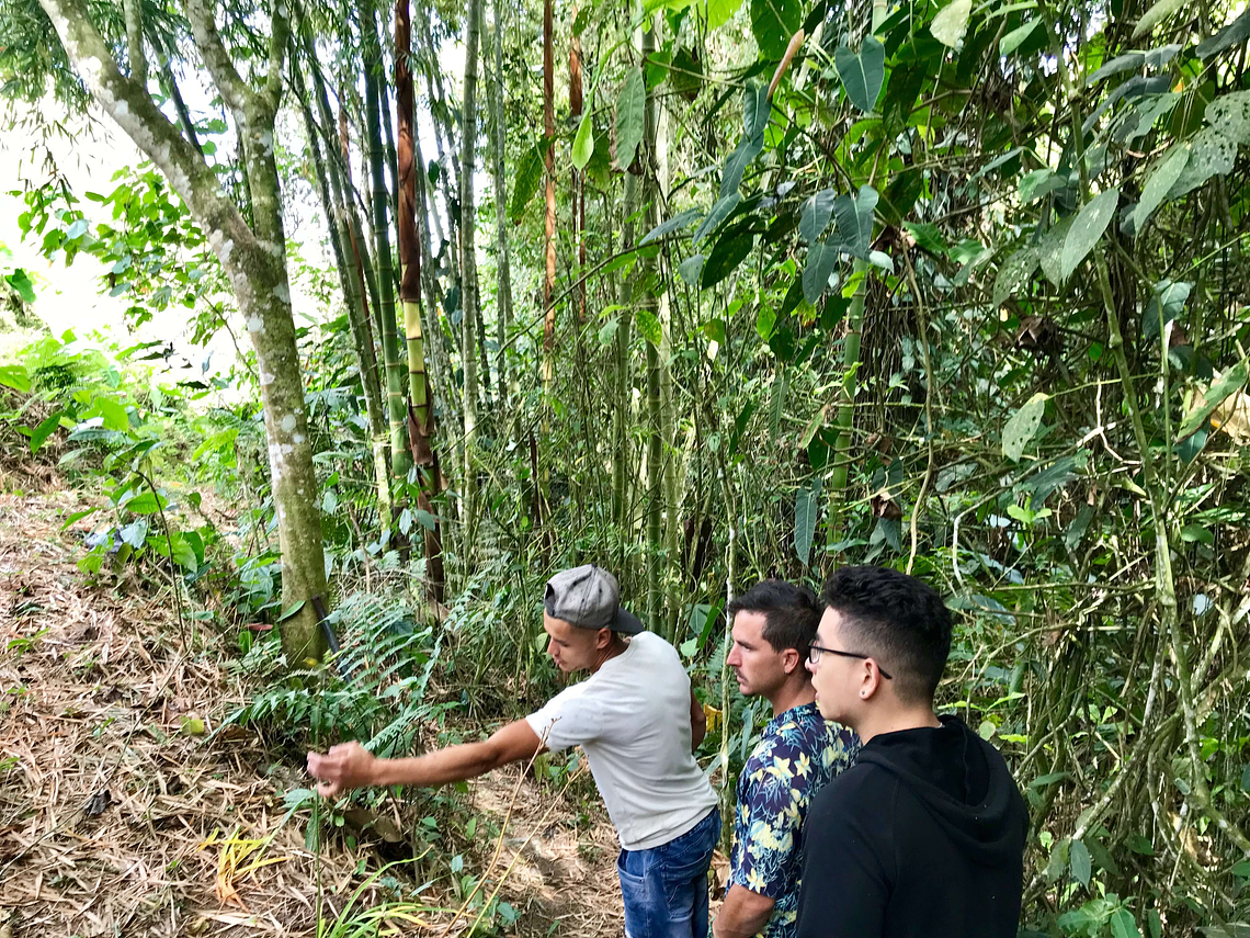 Ecological and Reforestation Walk Experience