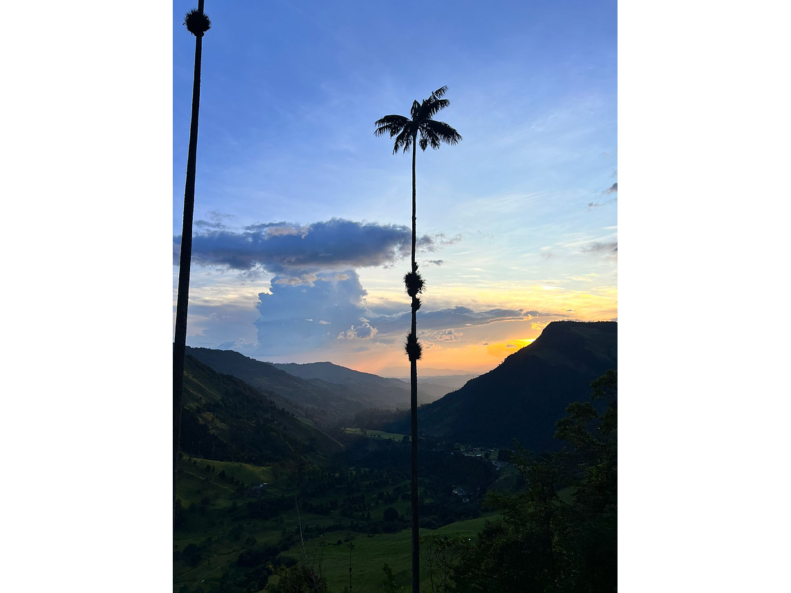 ✨ FULL DAY – “Cocora, Café y Pueblos Mágicos”