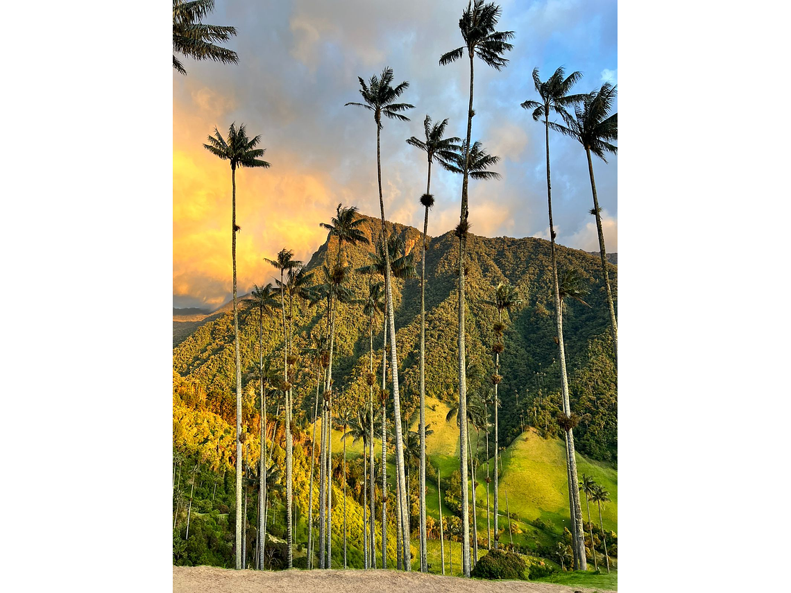 ✨ FULL DAY – “Cocora, Café y Pueblos Mágicos”