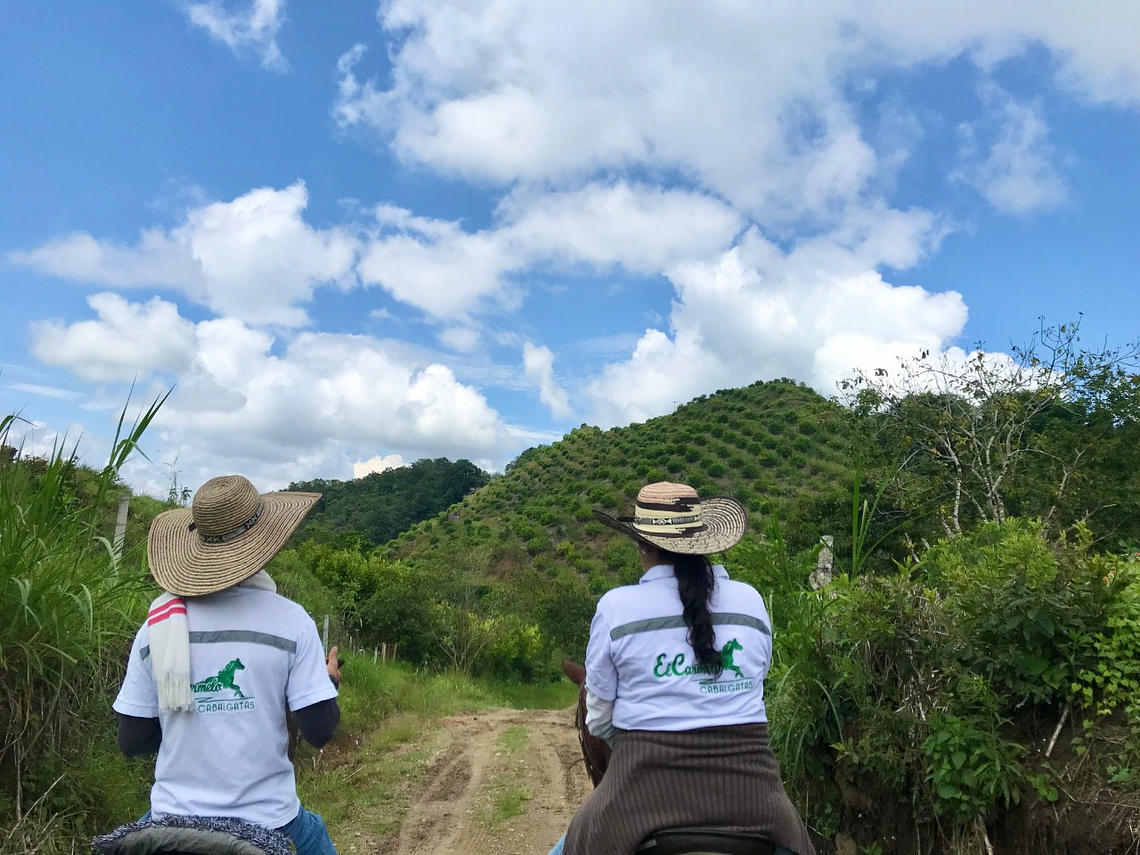 El Carmelo Horseback Riding