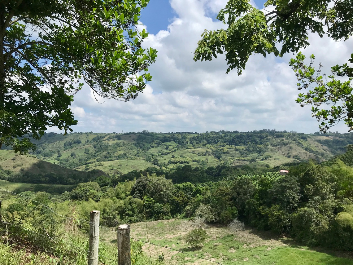 El Carmelo Horseback Riding