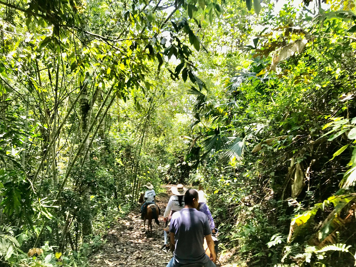 El Carmelo Horseback Riding