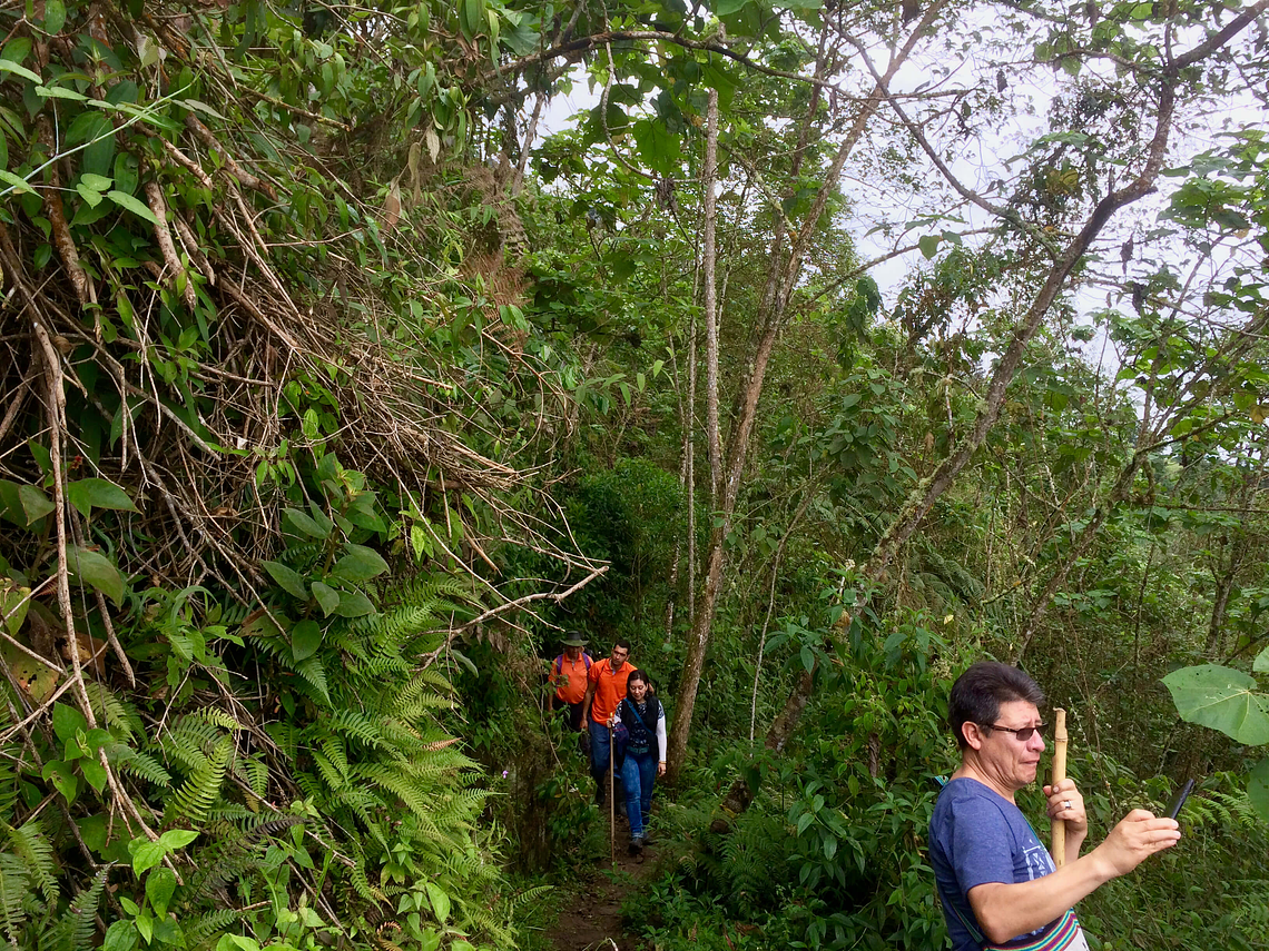 Guided Tour in Peñas Blancas Calarcá Ecopark