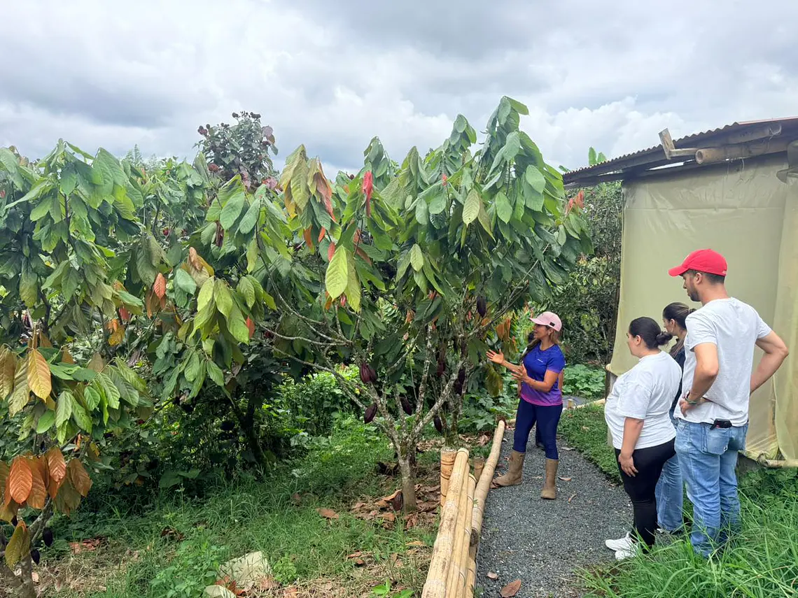 Tour de Cacao Kakawa “Santuario del Cacao”