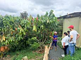 Tour de Cacao Kakawa “Santuario del Cacao”