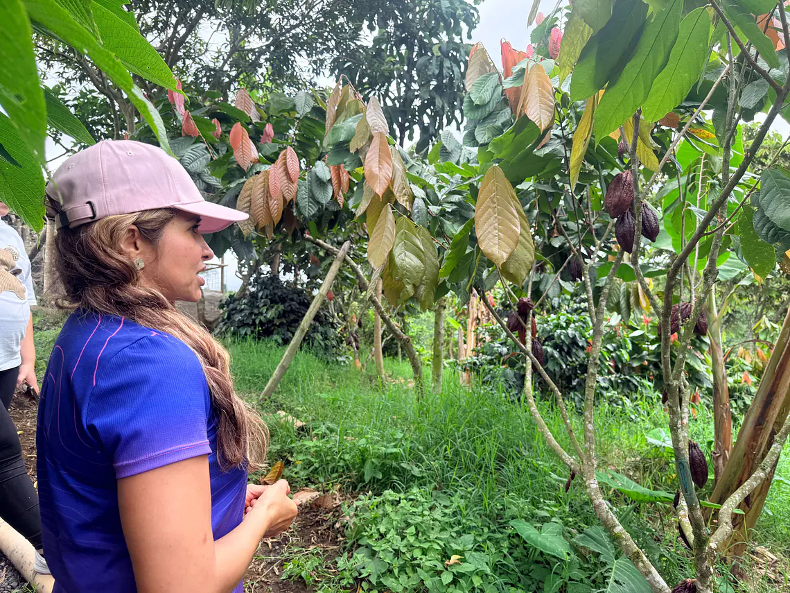 Tour de Cacao Kakawa “Santuario del Cacao”