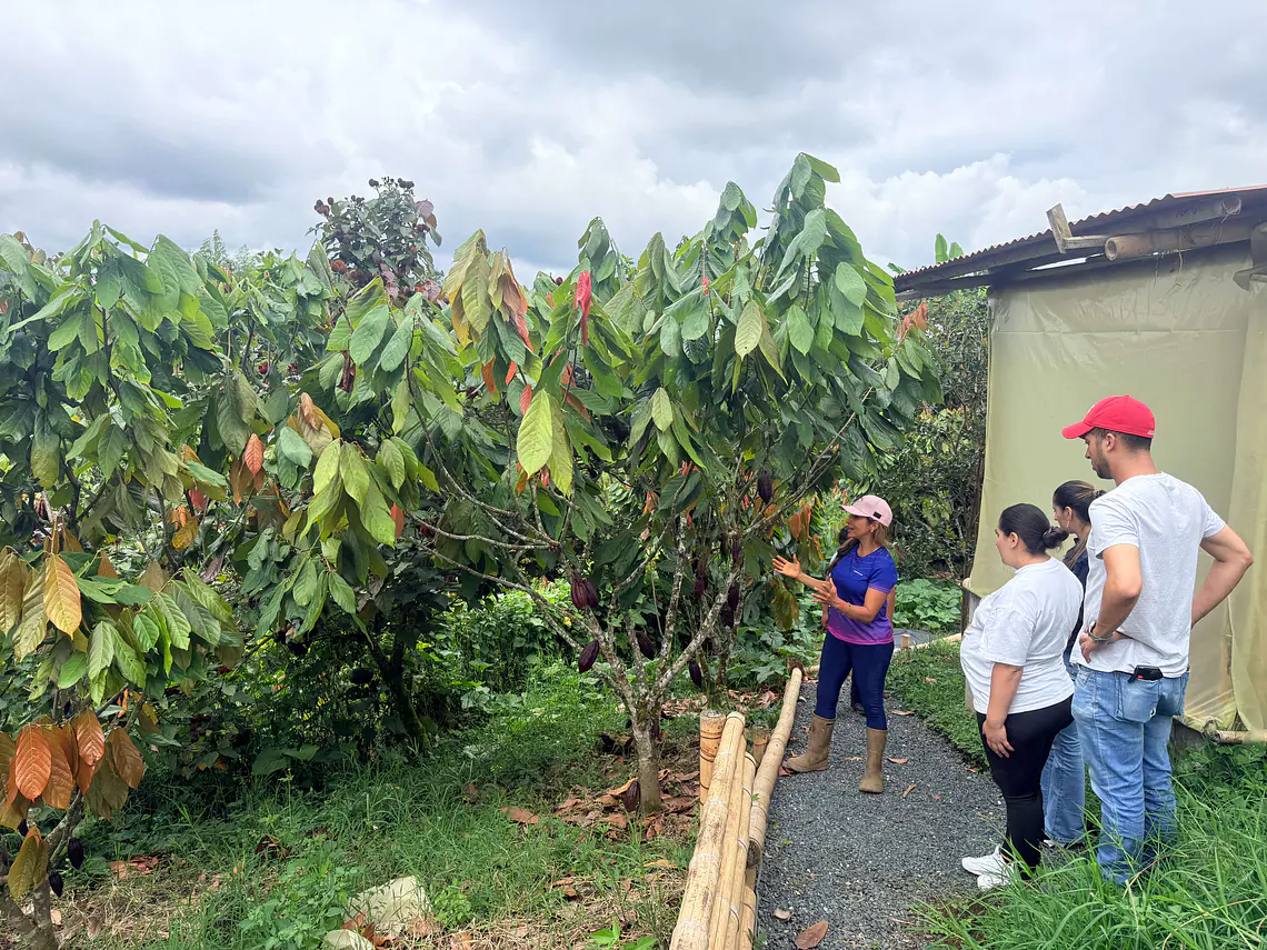 Tour de Cacao Kakawa “Santuario del Cacao”