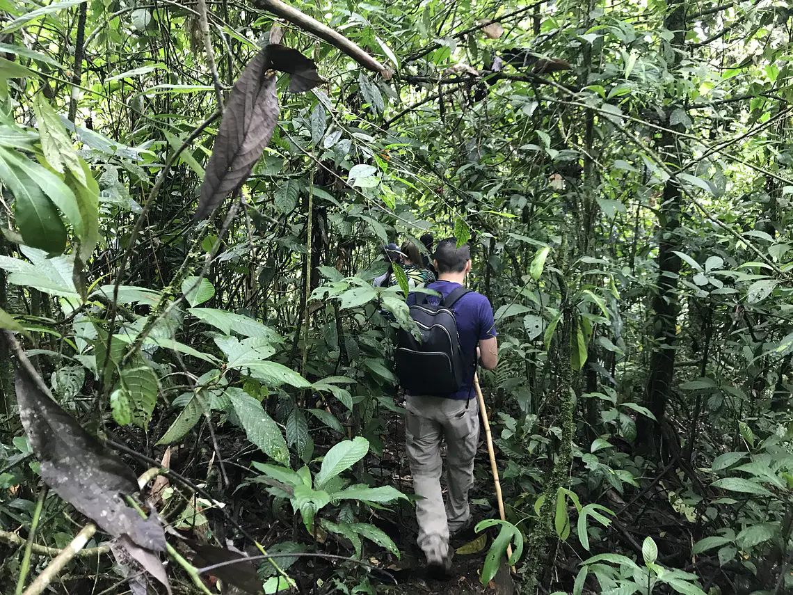 Full Day – Howler Monkey & Coffee Peasant Tour