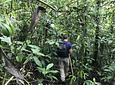 Full Day – Howler Monkey & Coffee Peasant Tour