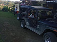 Full Day – Howler Monkey & Coffee Peasant Tour