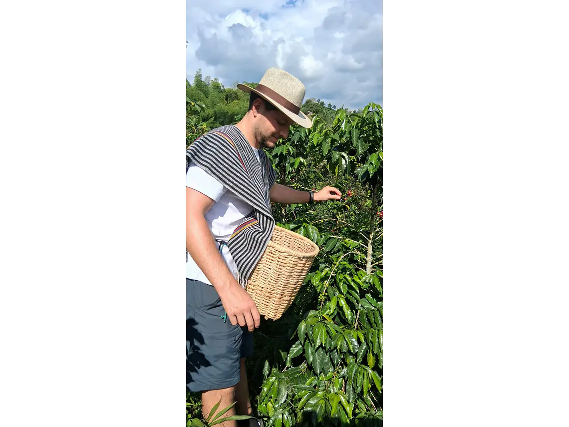 Full Day – Howler Monkey & Coffee Peasant Tour