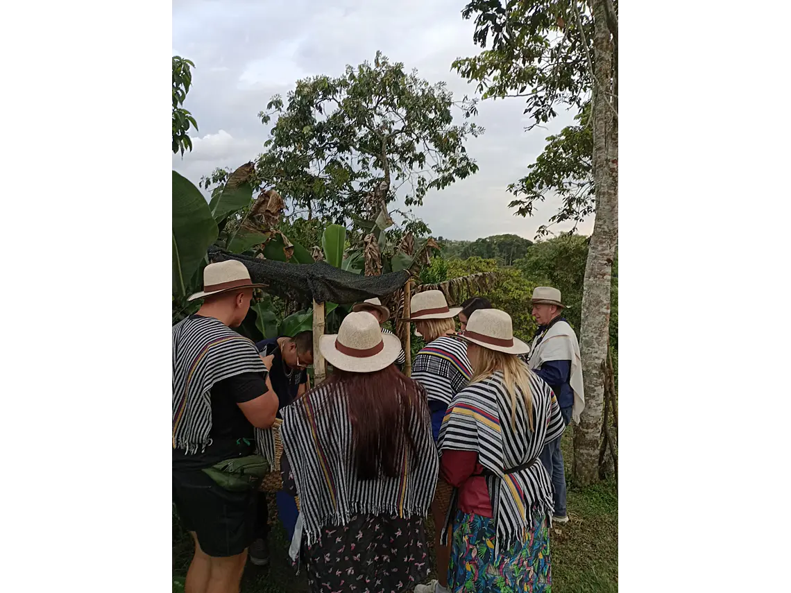 Full Day – Howler Monkey & Coffee Peasant Tour