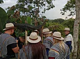 Full Day – Howler Monkey & Coffee Peasant Tour
