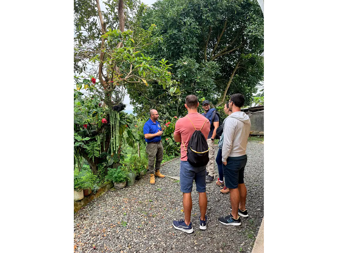 Full Day – Howler Monkey & Coffee Peasant Tour