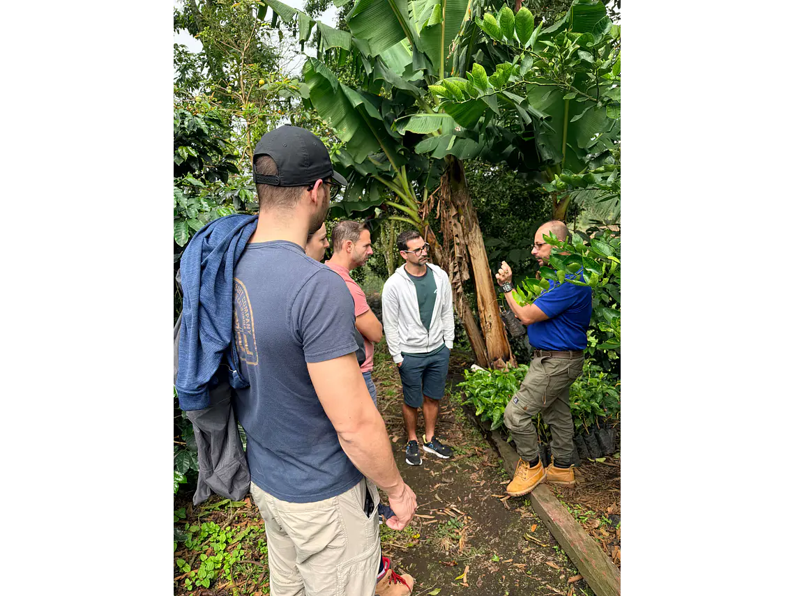 Full Day – Howler Monkey & Coffee Peasant Tour