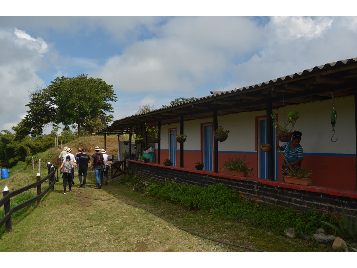 Visite de café entre Cascasdas, Guaduales et Cafetales