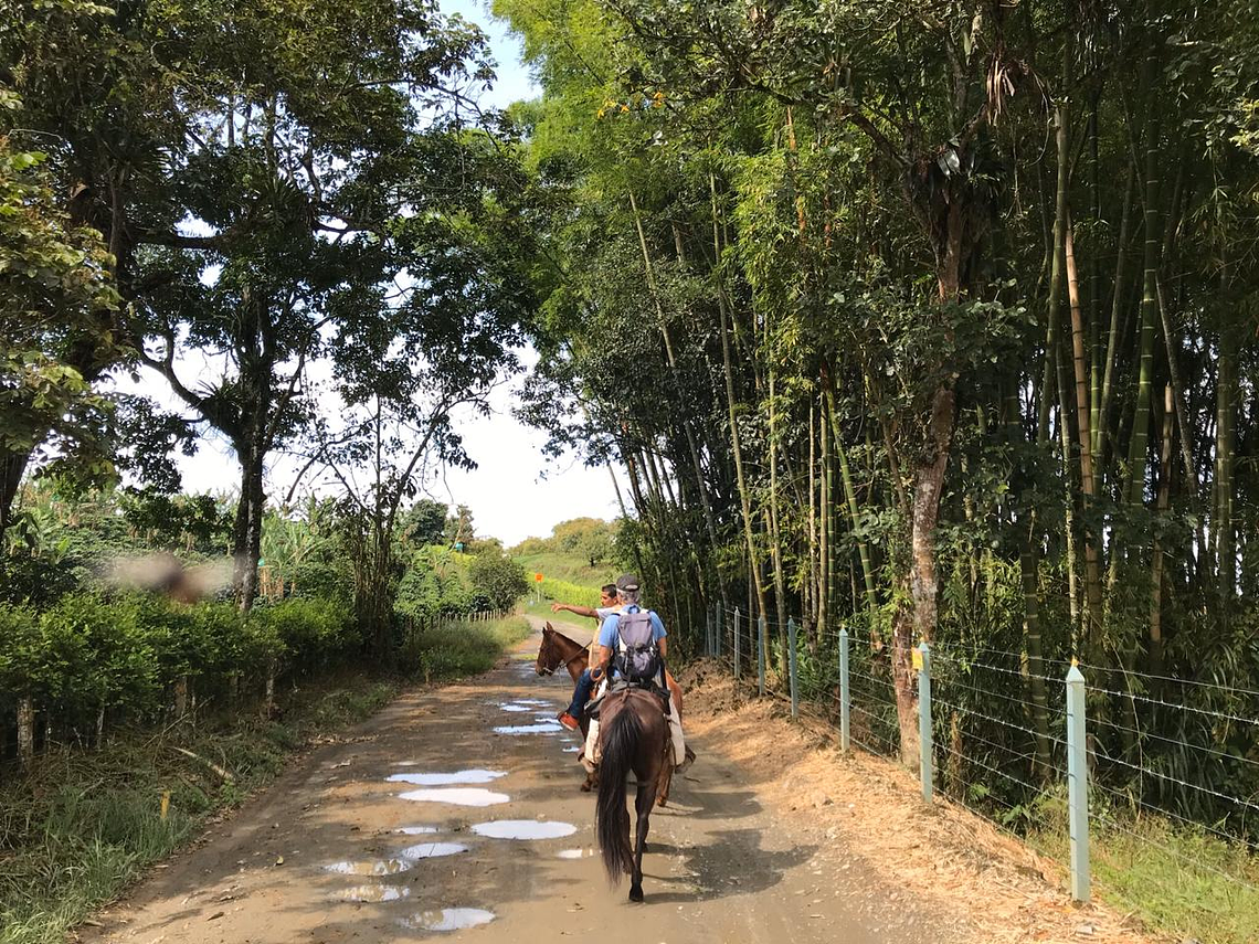 Cabalgata Ecológica y Rural En Filandia