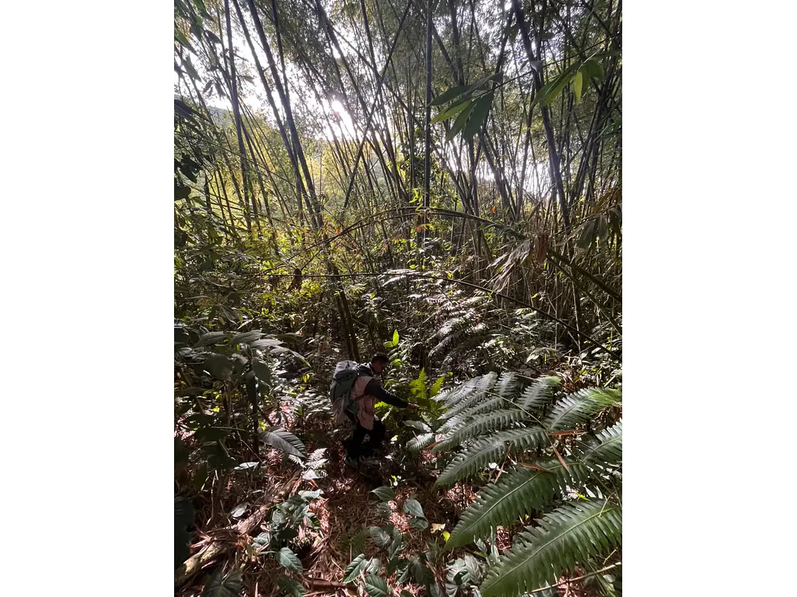 Aves entre Bosques y Cafetales | Rural Adventure Nature Center