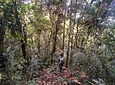 Aves entre Bosques y Cafetales | Rural Adventure Nature Center