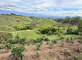 Aves entre Bosques y Cafetales | Rural Adventure Nature Center