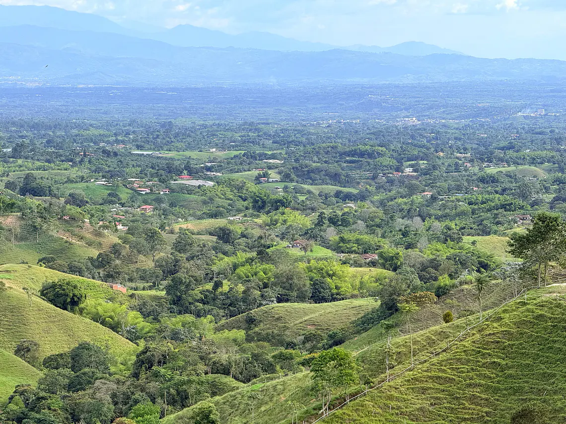Aves entre Bosques y Cafetales | Rural Adventure Nature Center