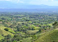 Aves entre Bosques y Cafetales | Rural Adventure Nature Center