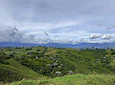 Aves entre Bosques y Cafetales | Rural Adventure Nature Center