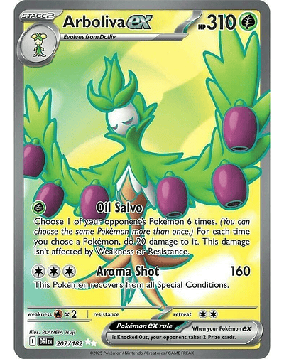 Arboliva ex - 207/182 