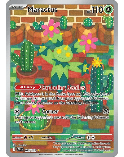 Maractus - 160/159