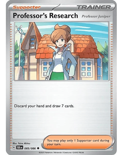 Professor's Research