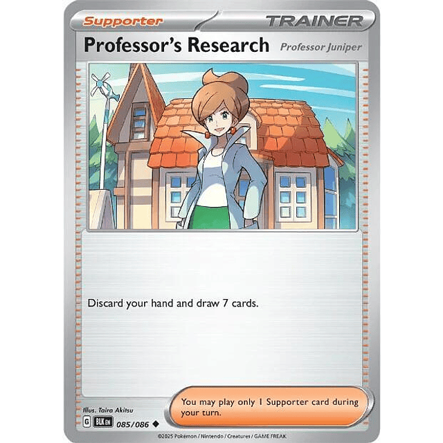 Professor's Research