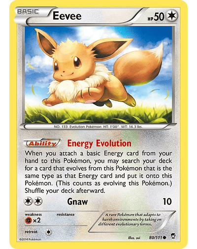 Eevee - XY - Furious Fists